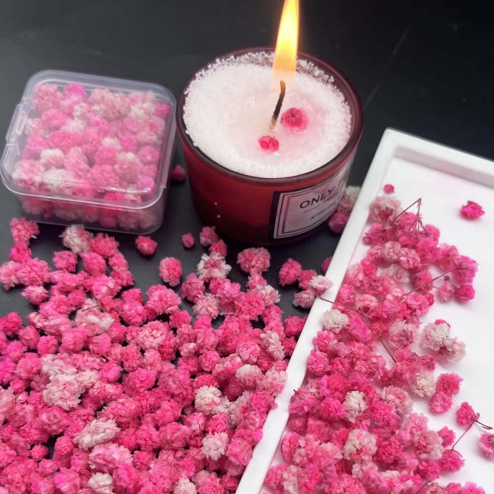 1Box Flower Mix for Crafts Can - Resin Art Earrings Design review and price
