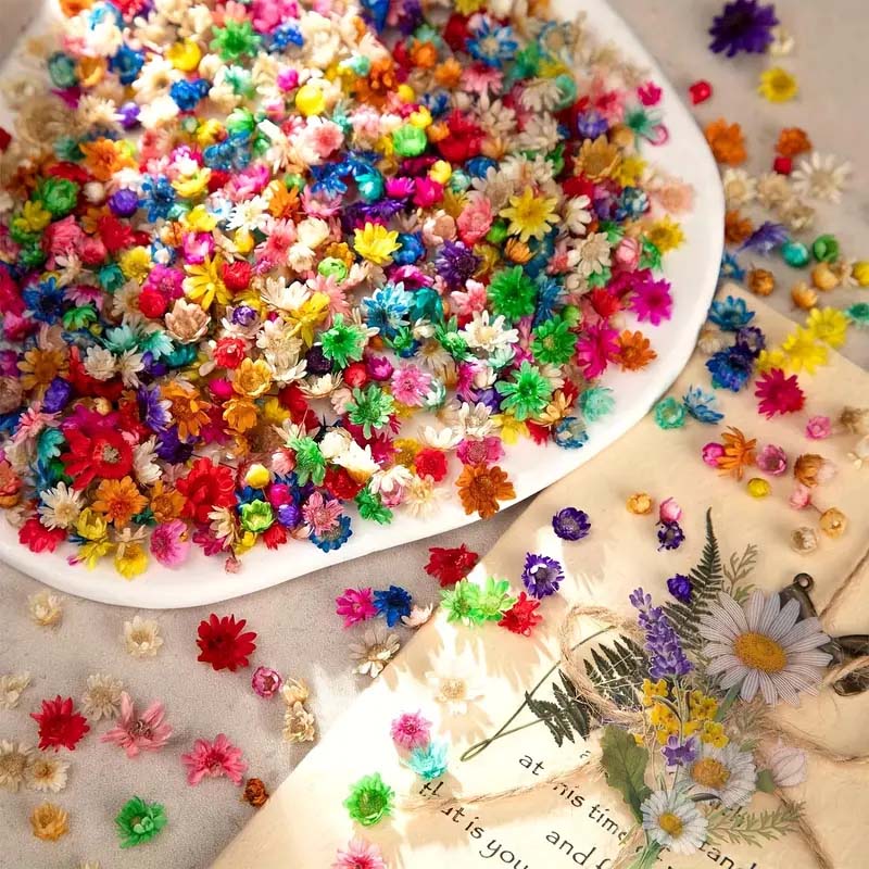 Mixed Colorful Flower for Wax  - Resin Art Design review and price